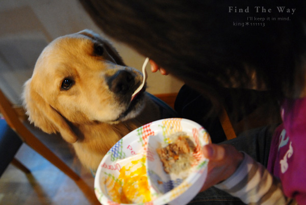【wanこ】Happy Birthday to You 〜 チーム・ピーナッツ 2_f0054594_20104871.jpg