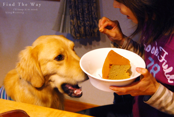 【wanこ】Happy Birthday to You 〜 チーム・ピーナッツ 2_f0054594_201388.jpg