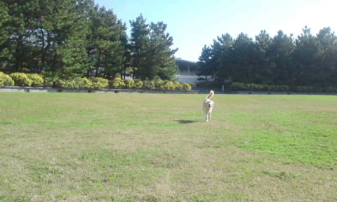 b0204695_20252646.jpg