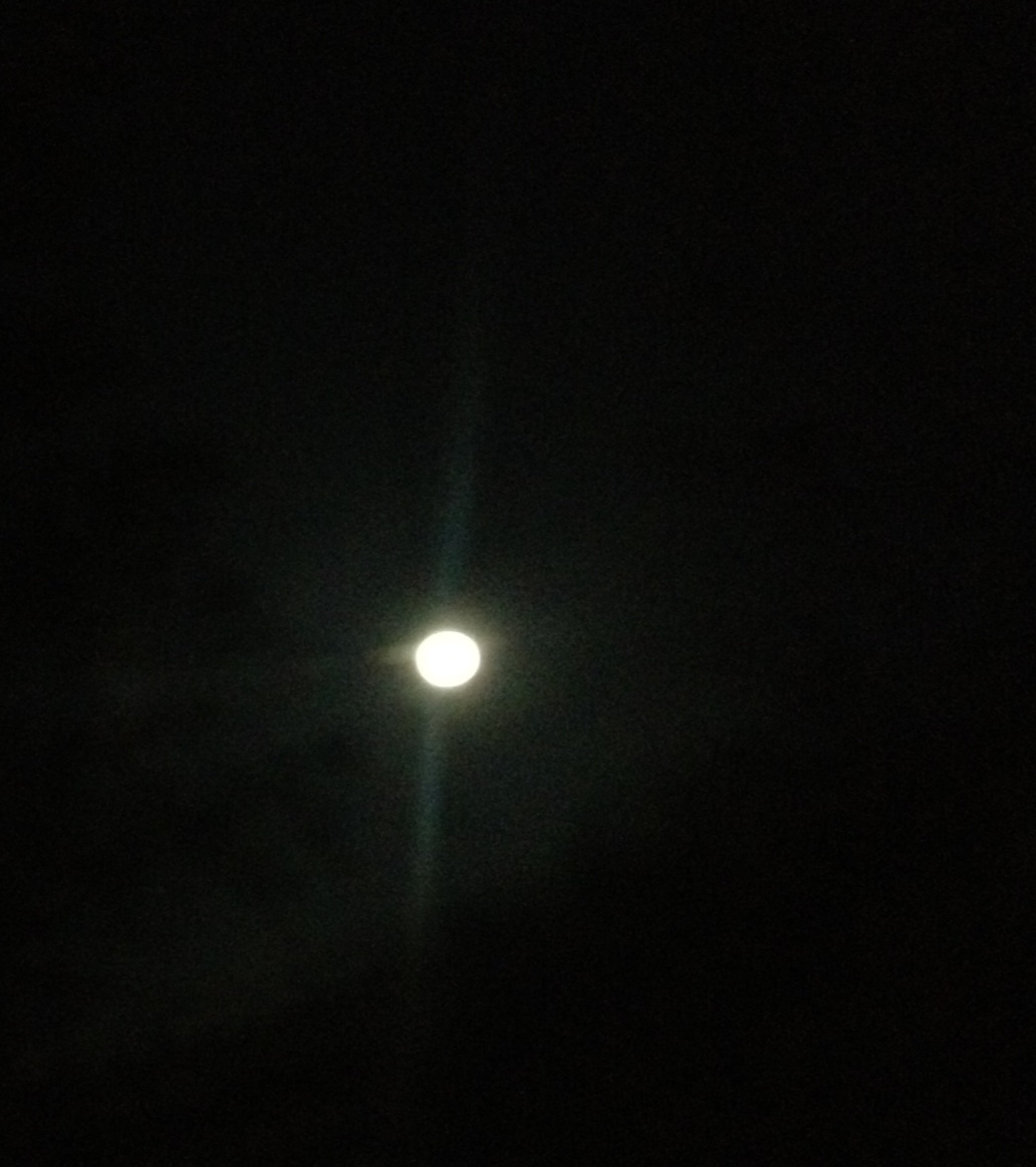 f0135295_2183667.jpg