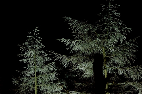 雪景色の夜　皆既月食を見よう_e0120896_64065.jpg