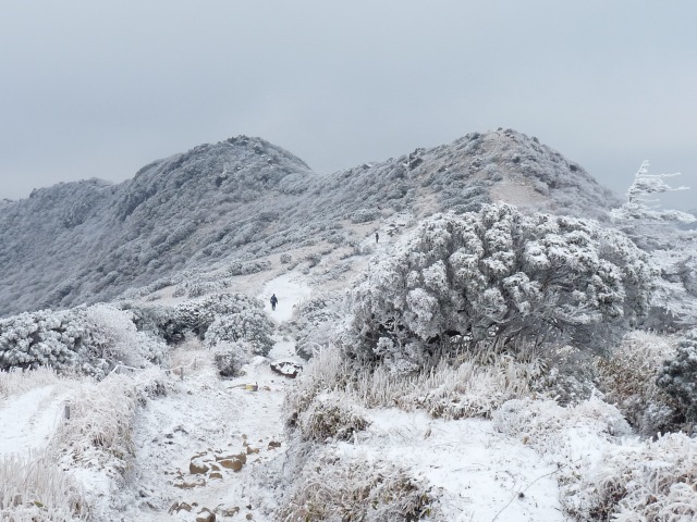 b0025101_22261014.jpg