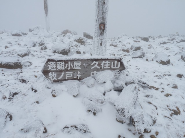 b0025101_22334243.jpg