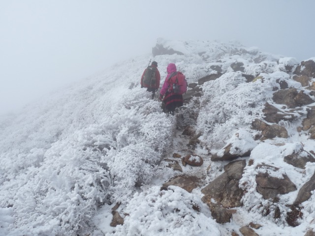 b0025101_2234390.jpg