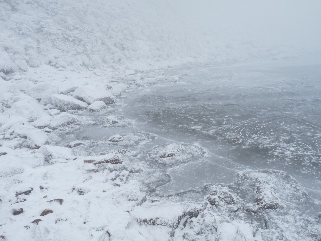 b0025101_22371560.jpg