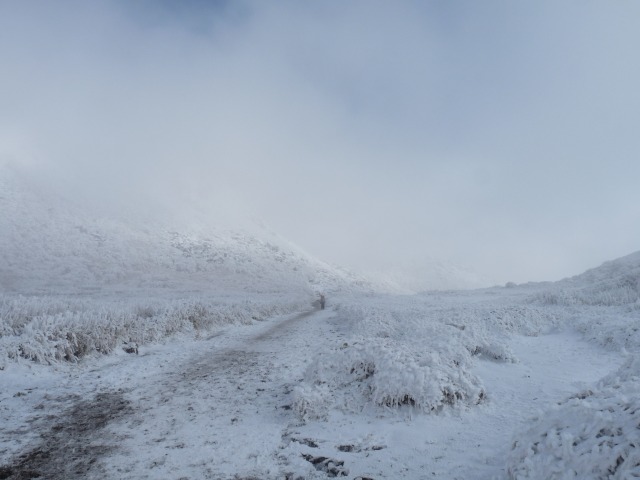 b0025101_22385047.jpg