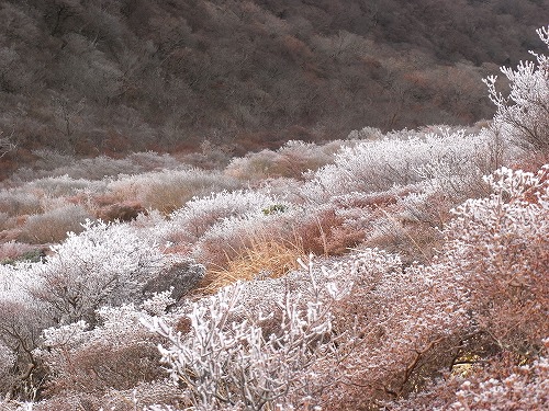f0187402_18512233.jpg
