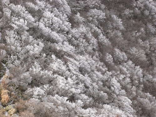 f0187402_18512997.jpg