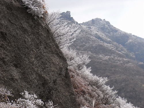 f0187402_18514427.jpg