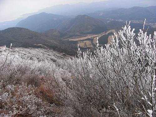 f0187402_1851664.jpg