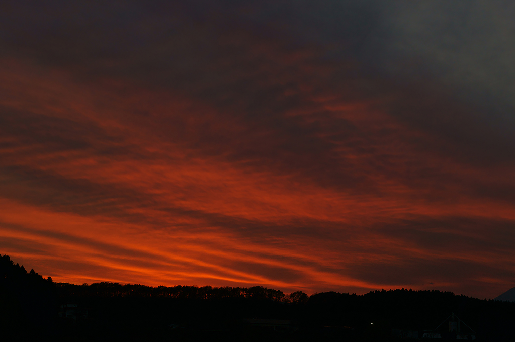 a0189203_5534226.jpg