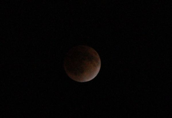 a0032004_017554.jpg