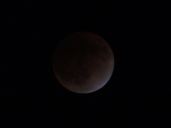 e0242804_164925.jpg