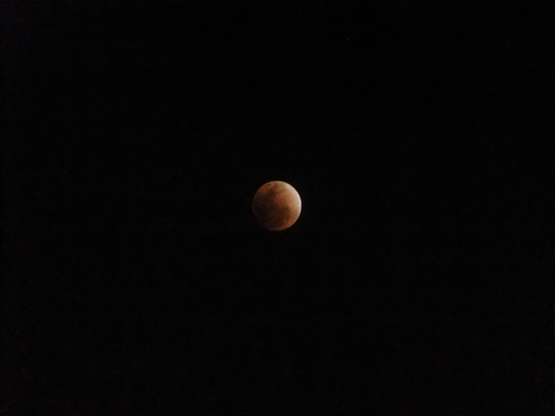 b0229505_061421.jpg