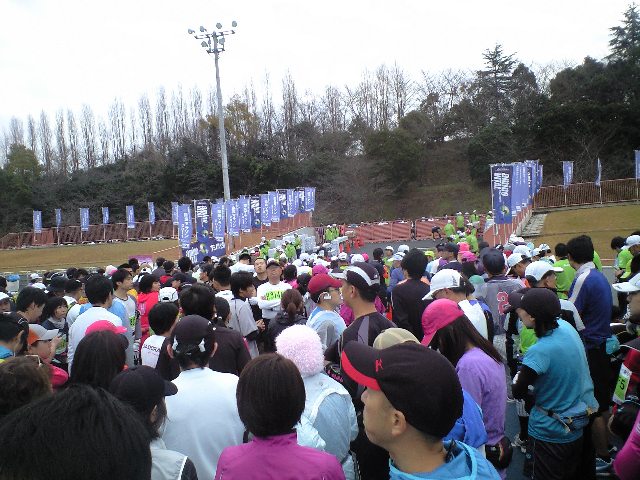 奈良マラソン2011 と 市川森一さん_a0194908_23175832.jpg