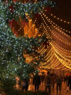 クリスマスのイルミネーション&ライトショー☆彡 Firenze 2011_a0207108_318361.jpg
