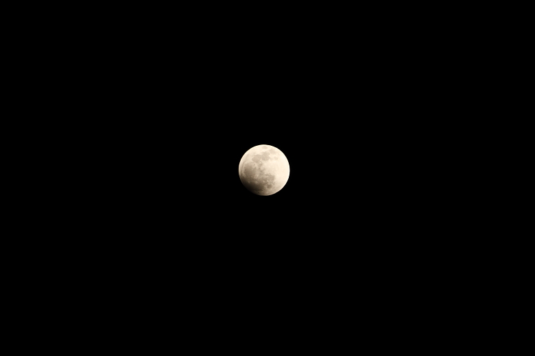 b0237408_1542496.jpg