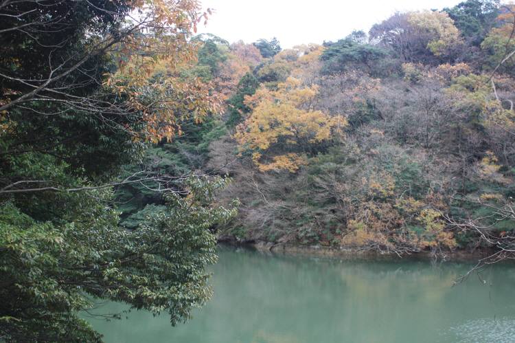 f0212511_120669.jpg