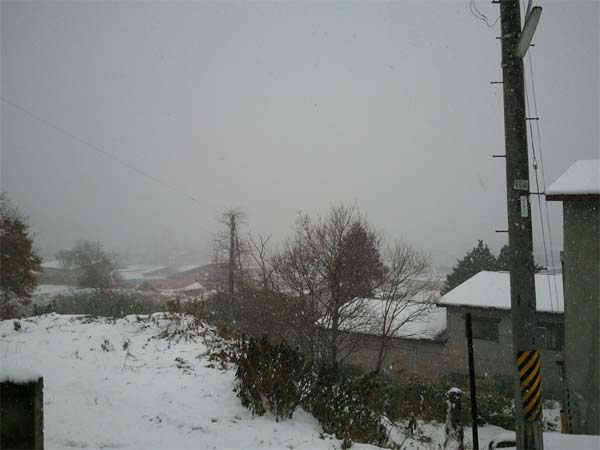 f0172612_2232574.jpg