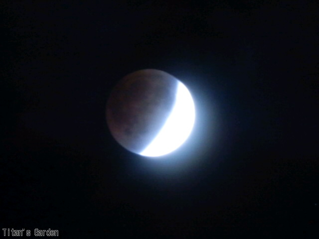 Total Lunar Eclipse_b0099813_1481895.jpg