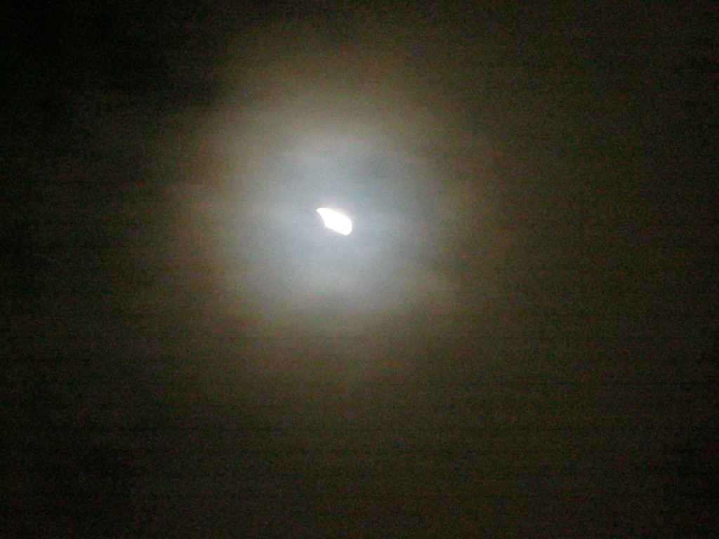 c0022113_1312233.jpg