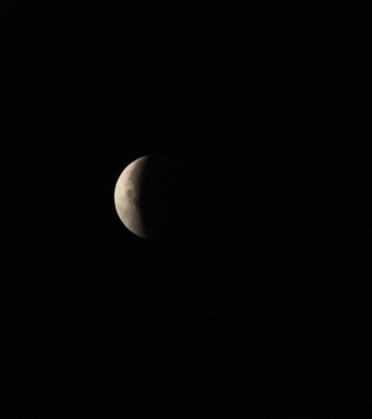 f0200114_30929.jpg
