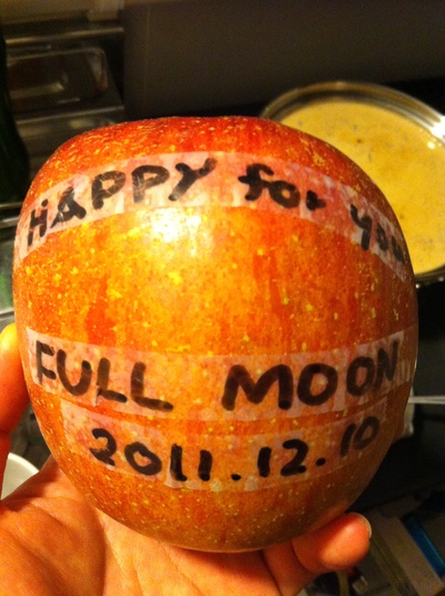 c0197515_8393934.jpg