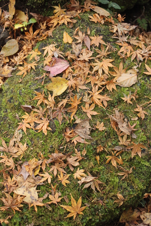 f0233916_9421319.jpg