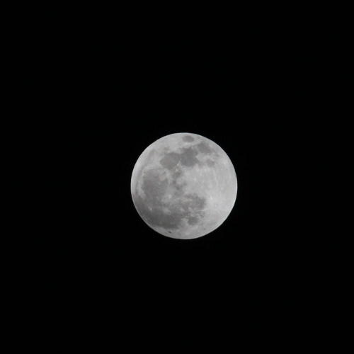e0117318_16465583.jpg