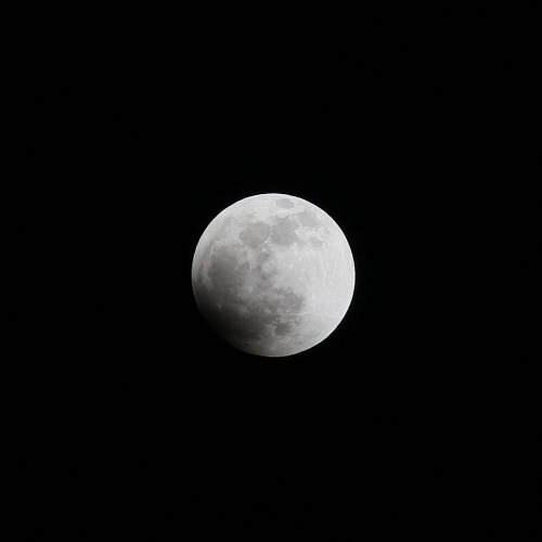 e0117318_16471395.jpg