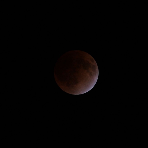 e0117318_1723233.jpg