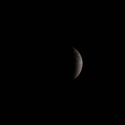 e0117318_1763716.jpg