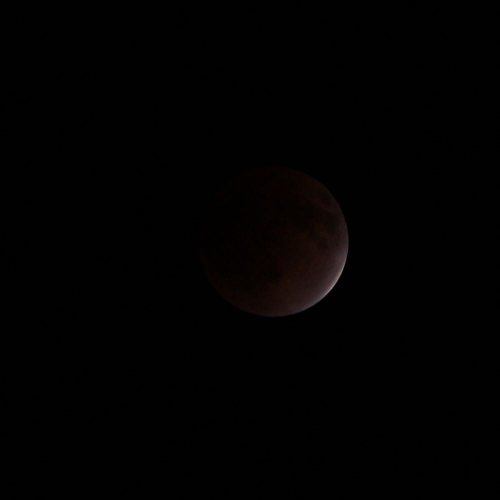 e0117318_177524.jpg