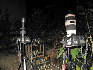 e0117318_18364365.jpg