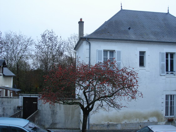 c0124619_7123375.jpg