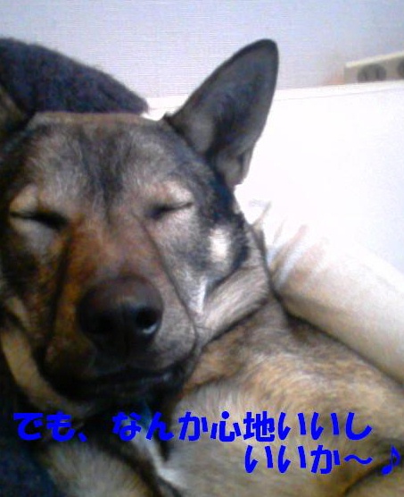 b0207320_1146157.jpg