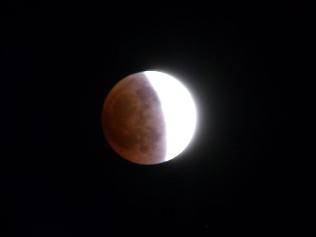 a0188023_22245171.jpg