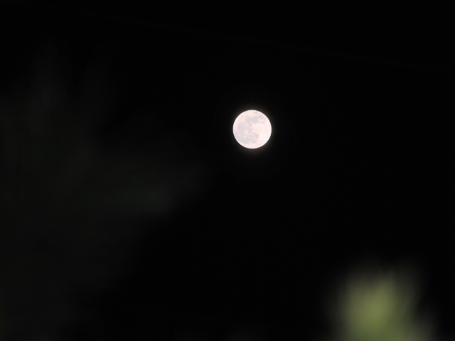c0039924_195315.jpg