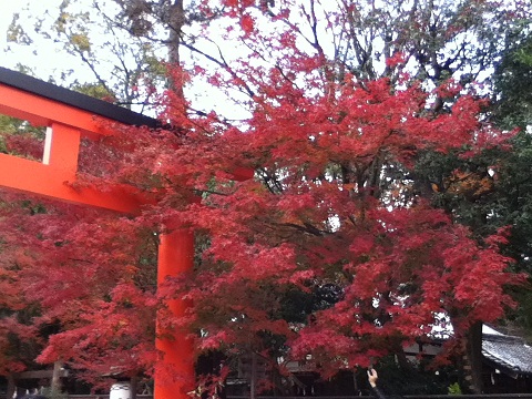 c0201427_1984384.jpg