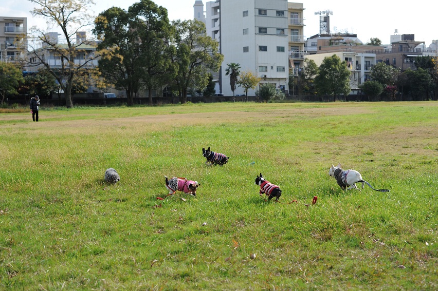 東千田公園へ_d0165627_6443511.jpg