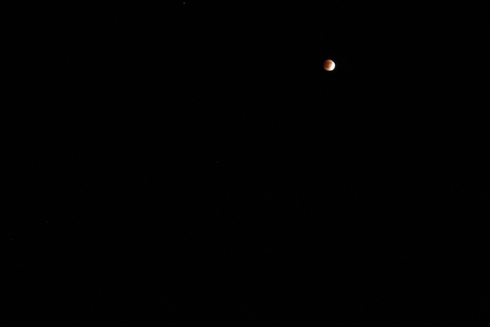 e0166032_1675328.jpg