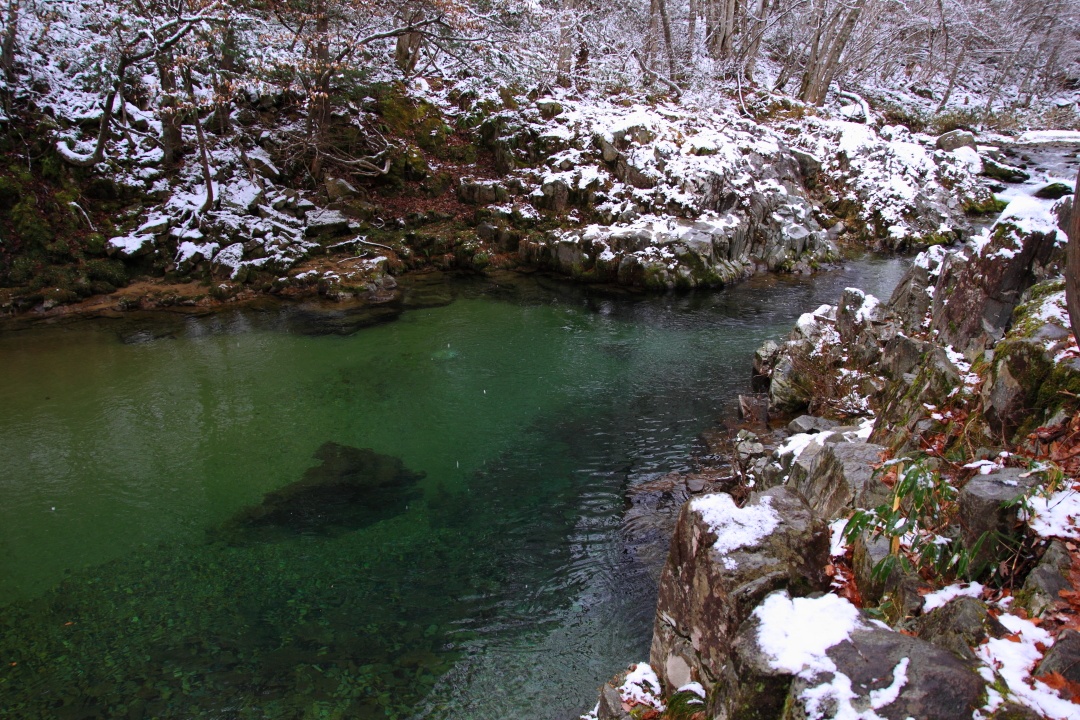 a0203733_20431864.jpg