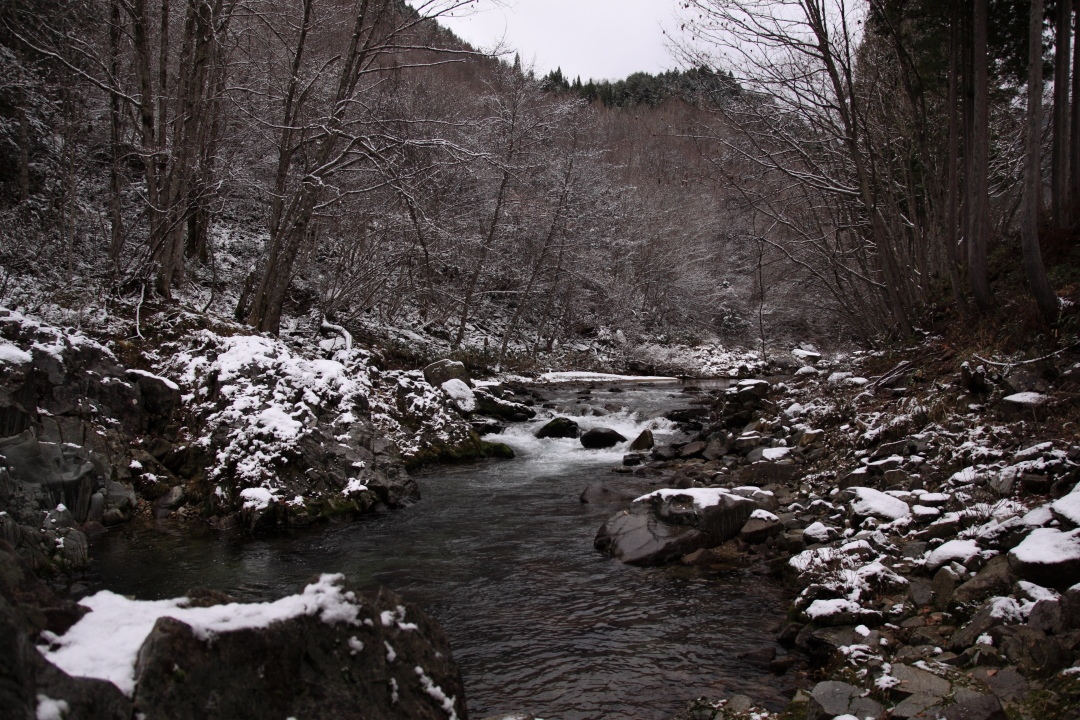 a0203733_20434397.jpg