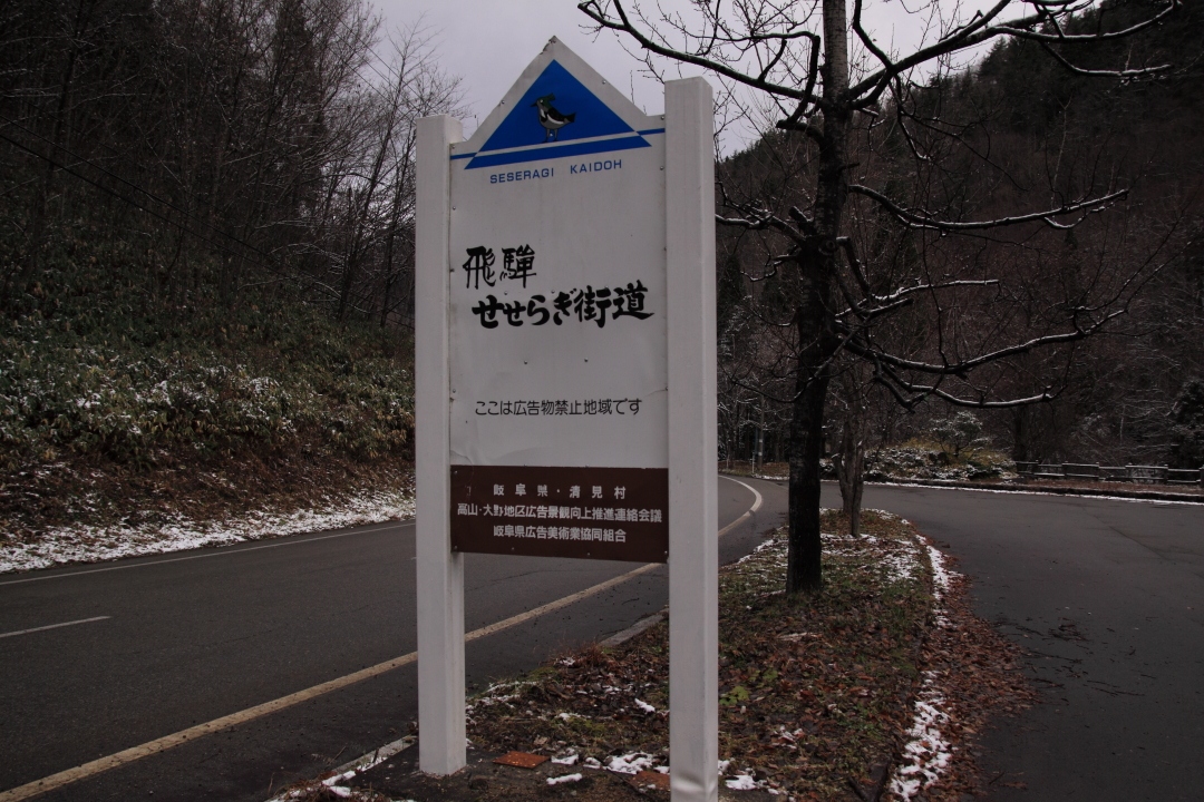 a0203733_2044484.jpg