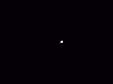 c0202934_90093.jpg