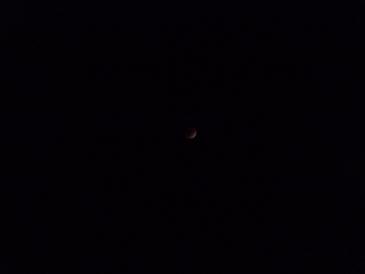 c0202934_91936.jpg
