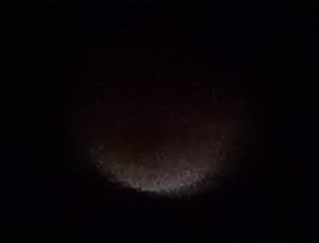 c0202934_9234.jpg
