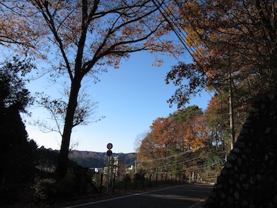 e0156534_1436884.jpg