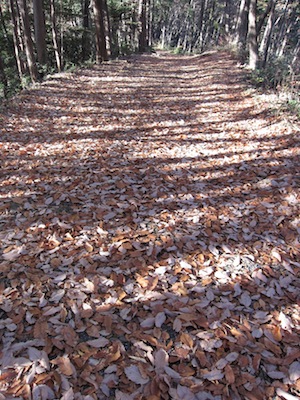 e0156534_14372397.jpg