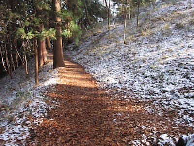 e0156534_14433990.jpg